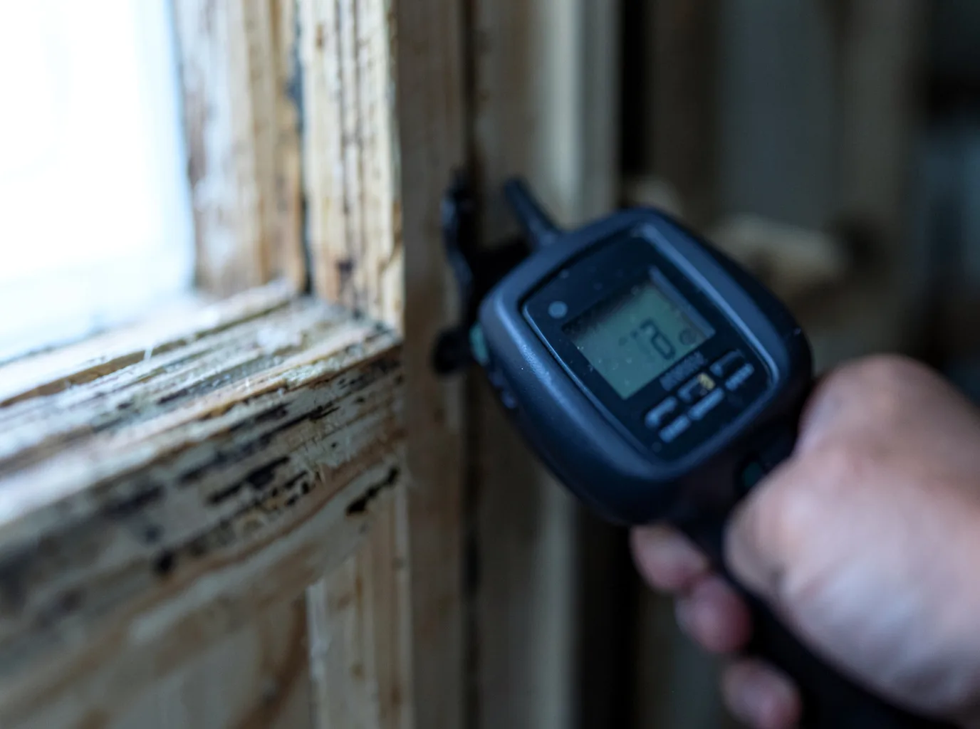 Commercial Water Damage Restoration in Saint Peter, IL